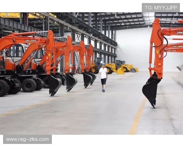 尊龙集团对可持续发展的追求与具体实践