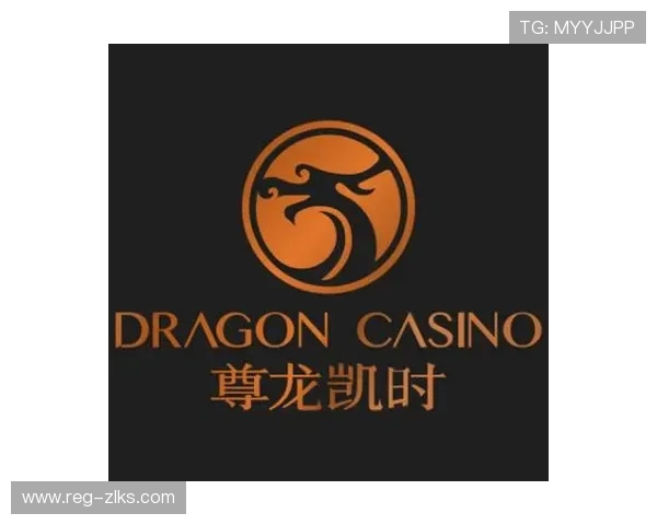 尊龙凯时官网入口：确保账号安全的登录技巧分享